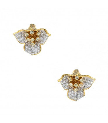 Diamonds and gold earrings