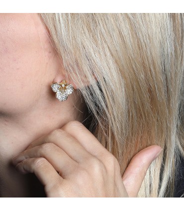 Diamonds and gold earrings