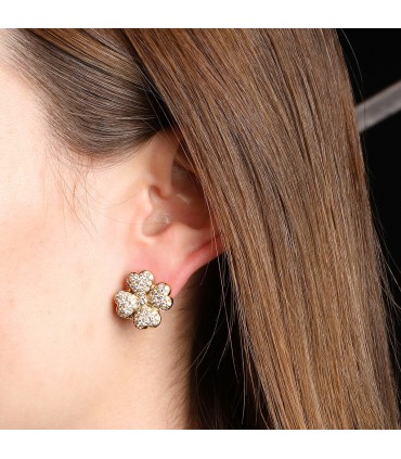 Diamonds and gold earrings