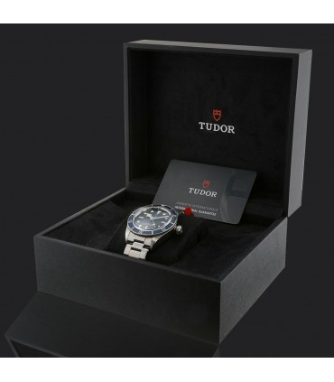 Montre Tudor Black Bay