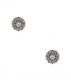 Diamonds and gold earrings