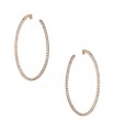 Edouard Nahum diamonds and gold earrings