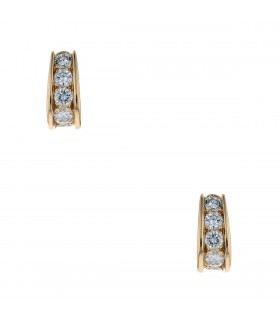 Diamonnds and gold earrings