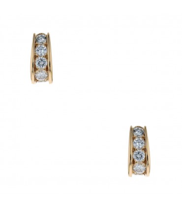 Diamonnds and gold earrings