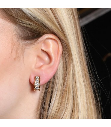 Diamonnds and gold earrings