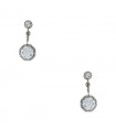 Diamonds and gold earrings